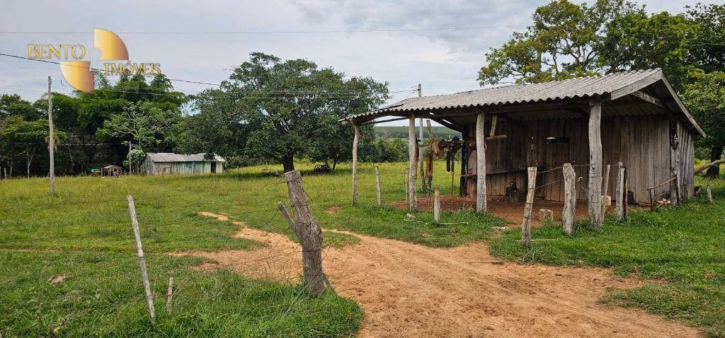 Fazenda de 239 ha em São Pedro da Cipa, MT