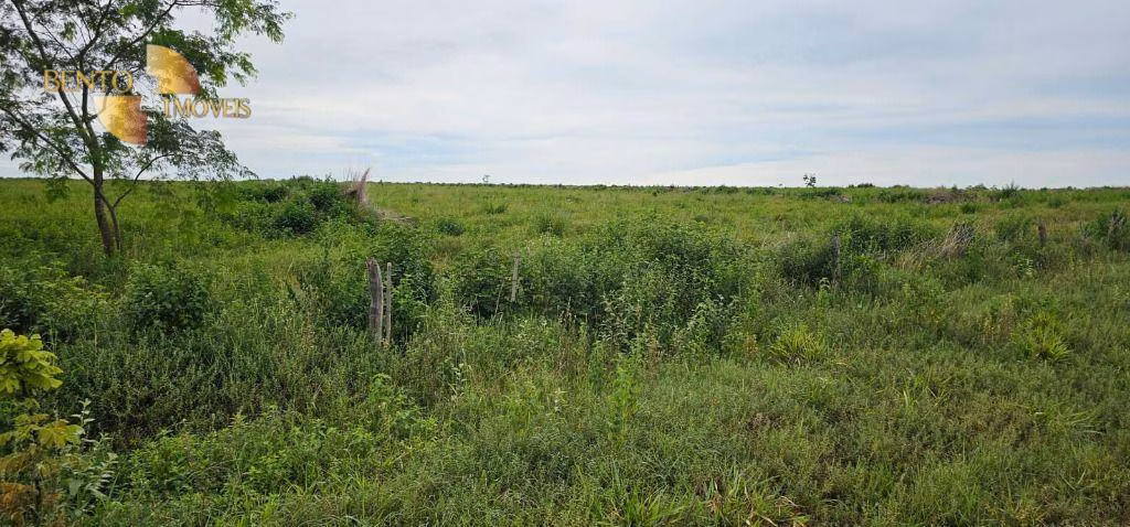 Fazenda de 239 ha em São Pedro da Cipa, MT