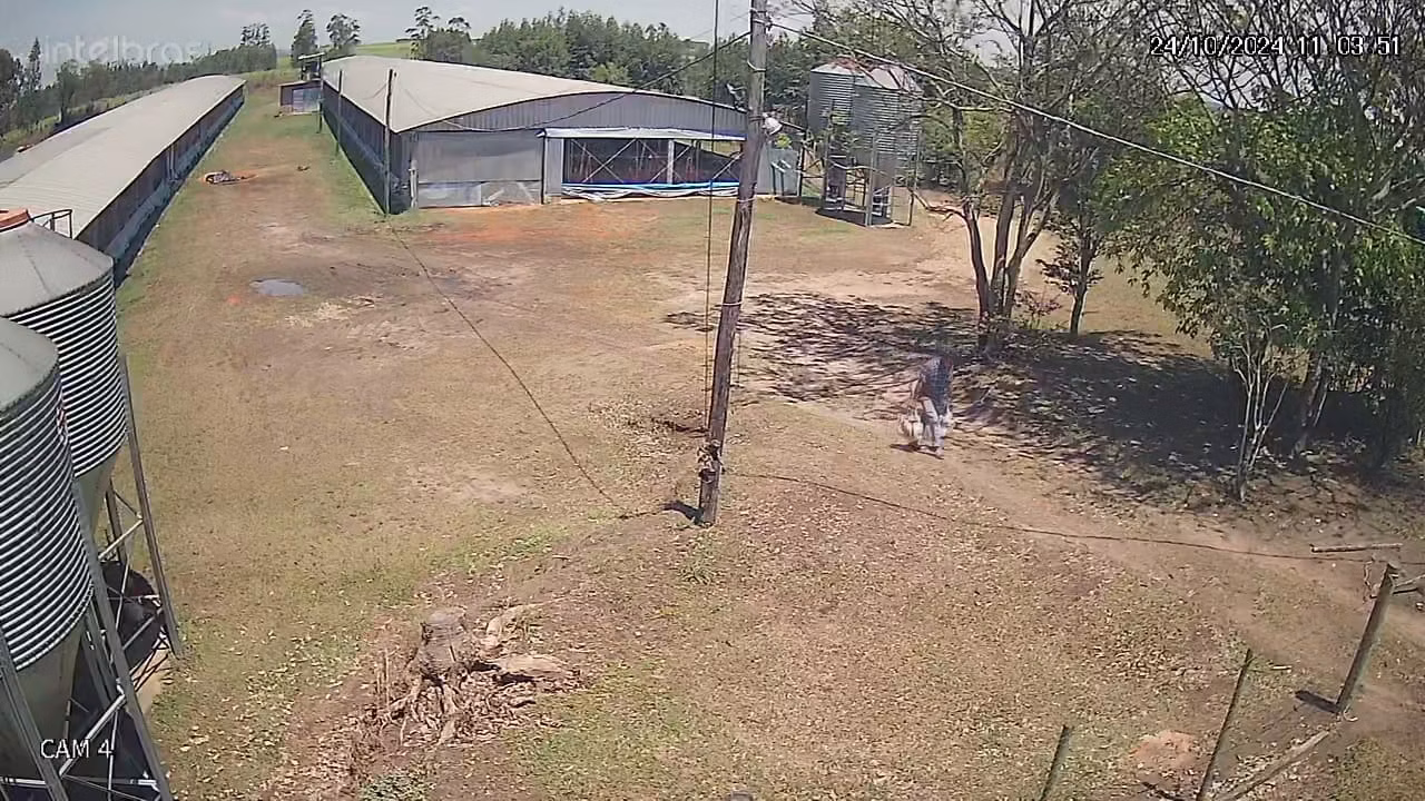 Sítio de 5 ha em São Pedro, SP