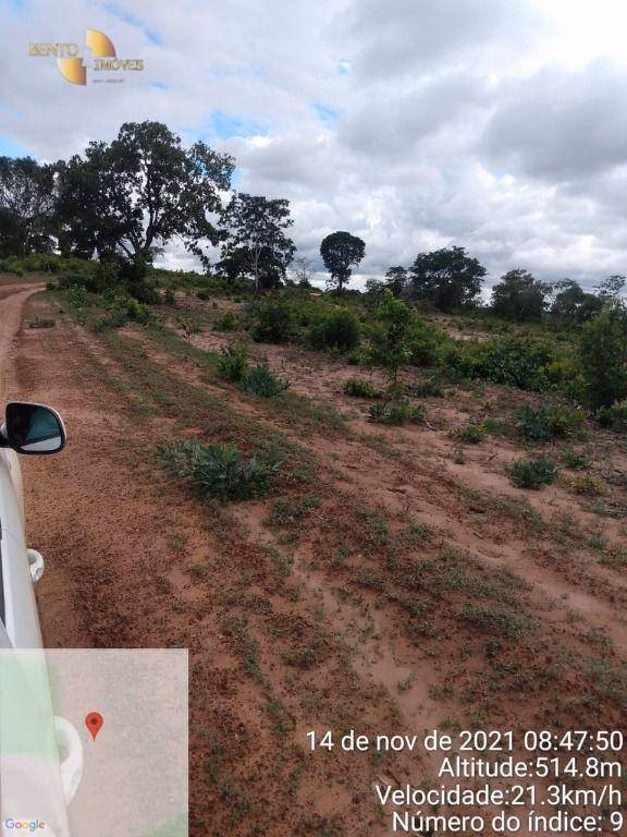 Fazenda de 1.035 ha em Primavera do Leste, MT