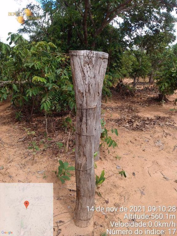Fazenda de 1.035 ha em Primavera do Leste, MT