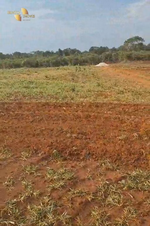 Farm of 544 acres in São José do Rio Claro, MT, Brazil