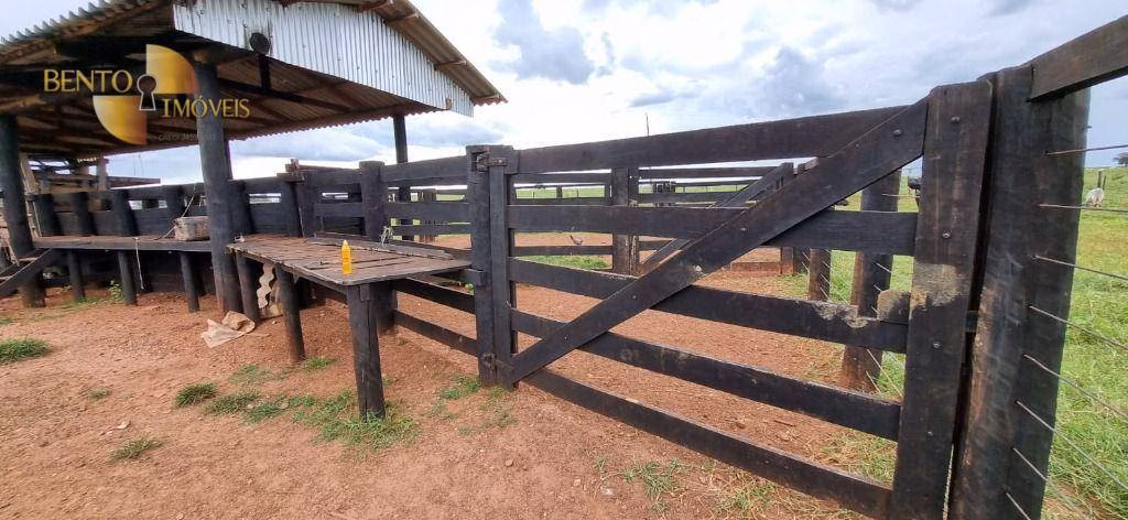 Fazenda de 240 ha em Dom Aquino, MT