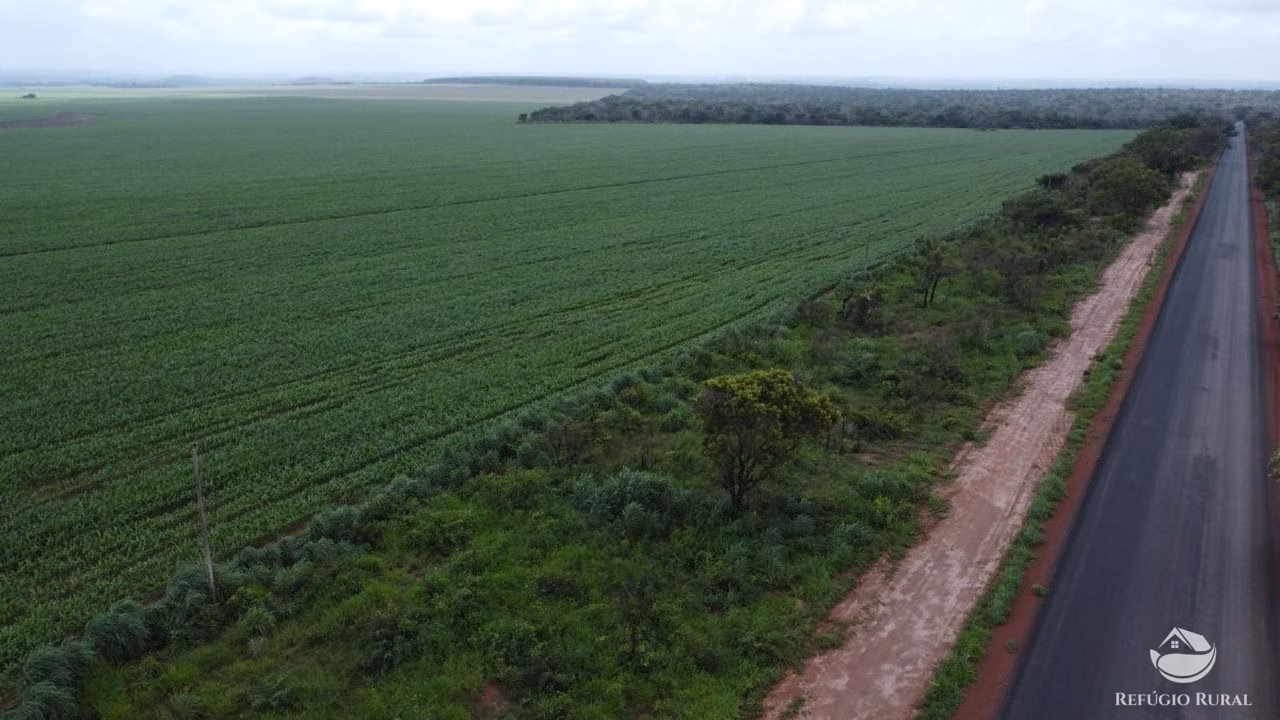 Fazenda de 4.065 ha em Paraíso do Tocantins, TO