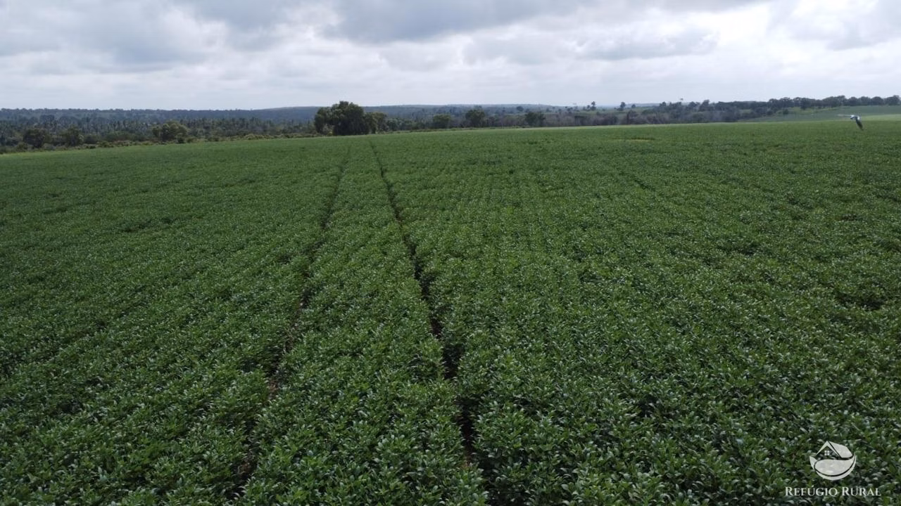Fazenda de 4.065 ha em Paraíso do Tocantins, TO
