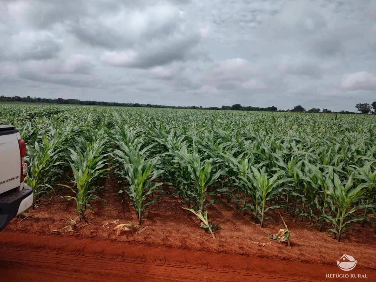 Fazenda de 4.065 ha em Paraíso do Tocantins, TO