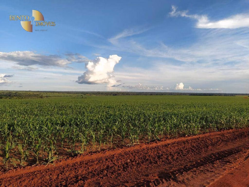 Fazenda de 10.400 ha em Porto dos Gaúchos, MT