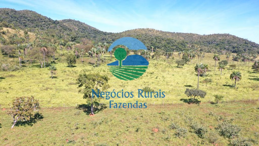 Fazenda de 784 ha em Campinaçu, GO