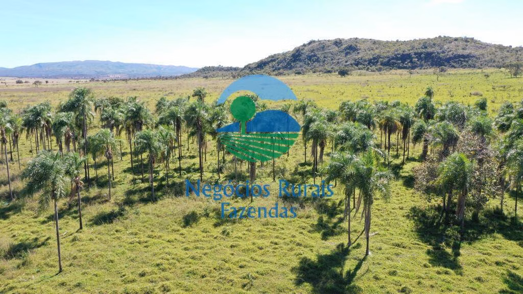 Farm of 1.937 acres in Campinaçu, GO, Brazil
