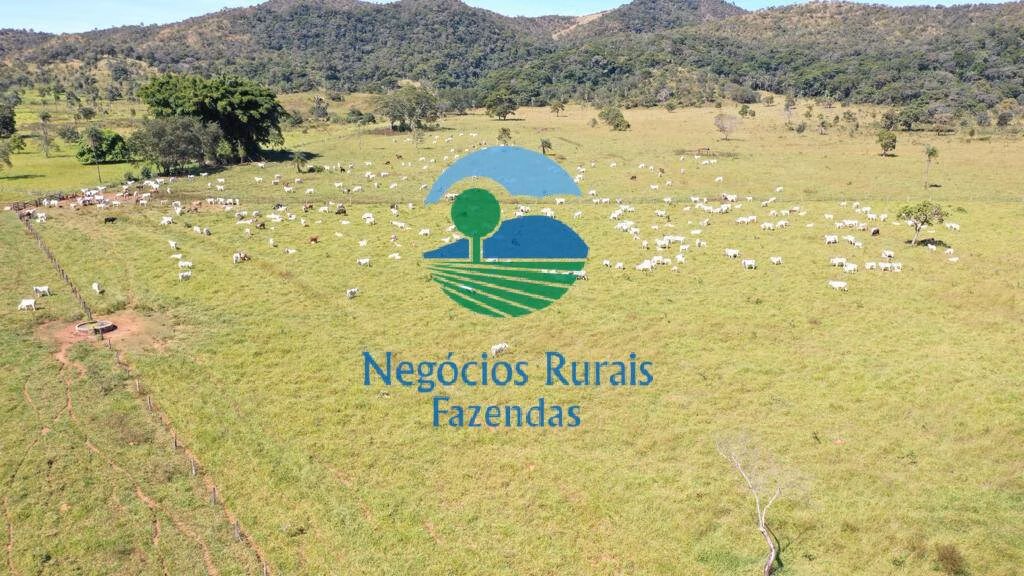 Fazenda de 784 ha em Campinaçu, GO
