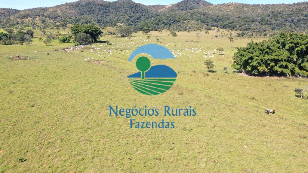 Fazenda de 784 ha em Campinaçu, GO