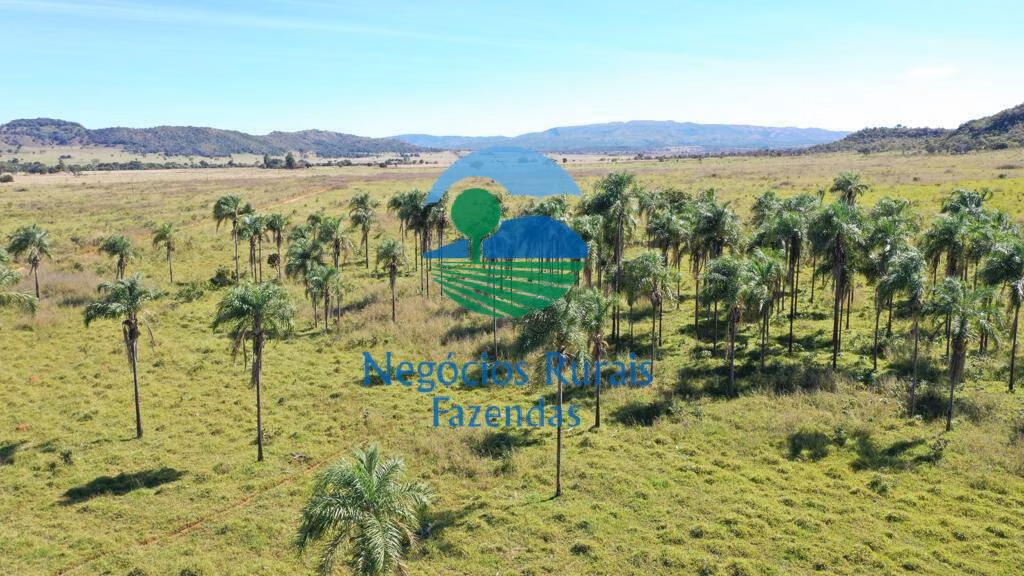 Fazenda de 784 ha em Campinaçu, GO