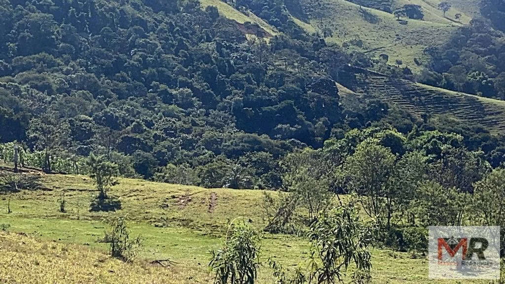 Terreno de 51 ha em Estiva, MG