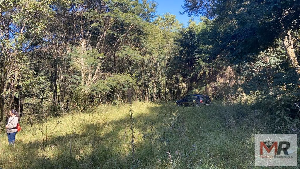 Terreno de 51 ha em Estiva, MG