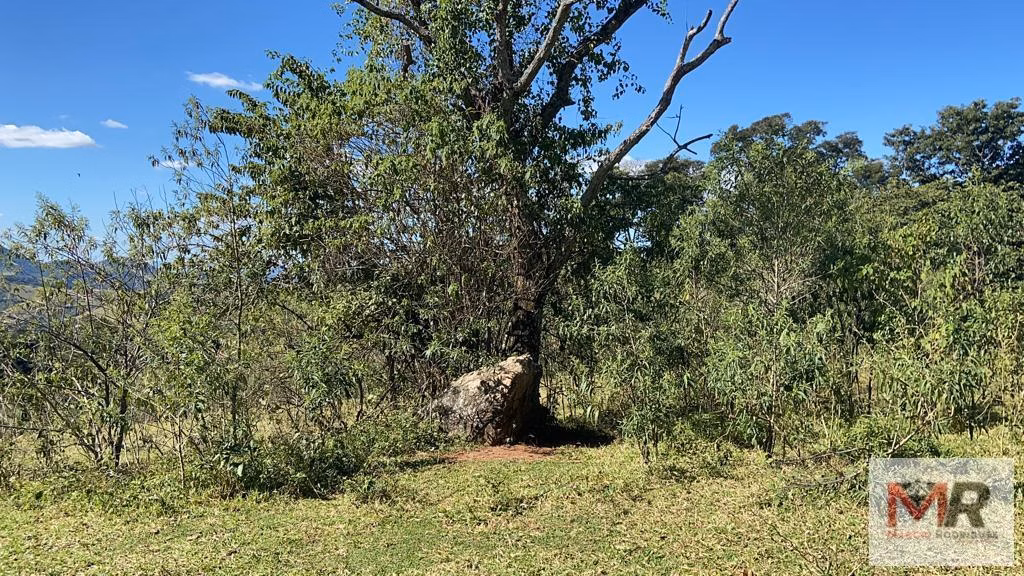 Terreno de 51 ha em Estiva, MG