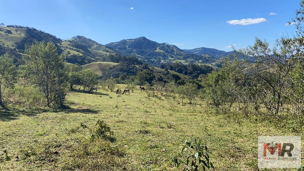 Terreno de 51 ha em Estiva, MG