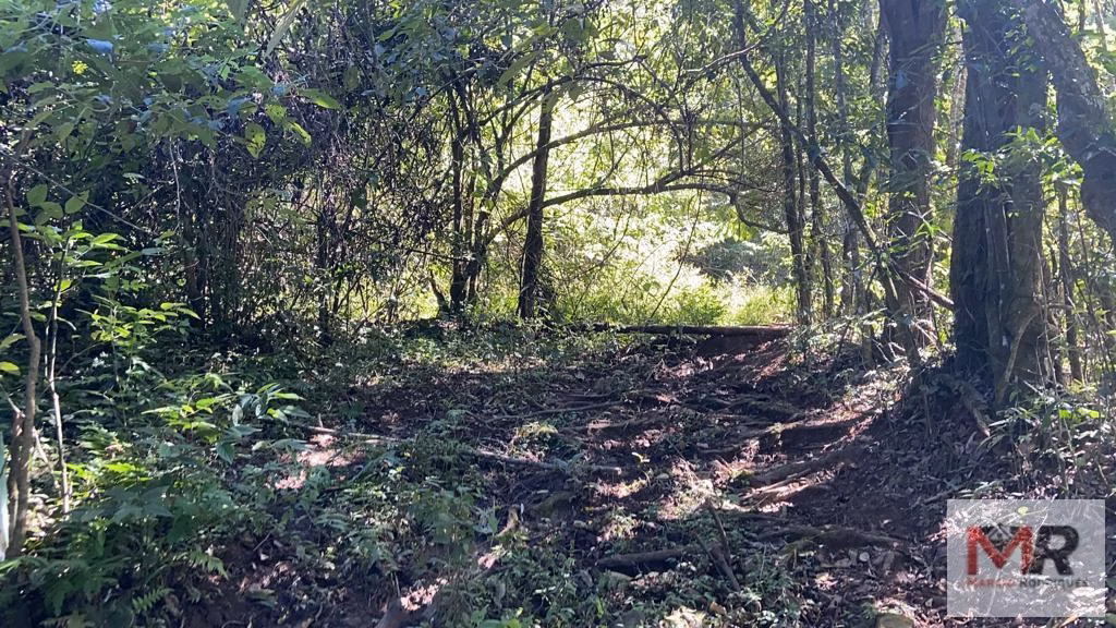 Terreno de 51 ha em Estiva, MG