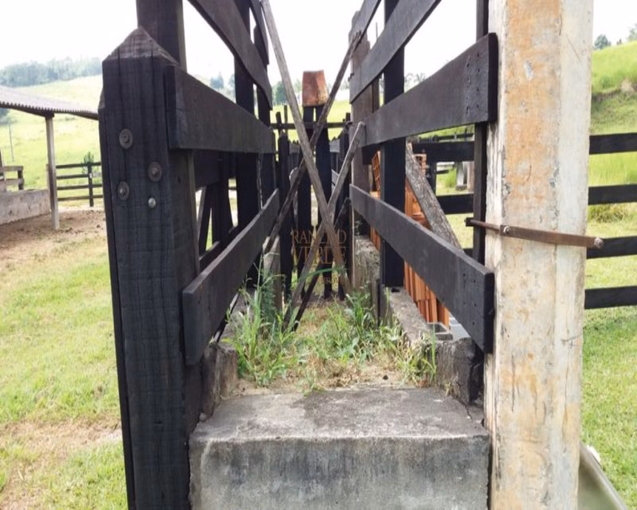 Small farm of 60 acres in Santa Isabel, SP, Brazil