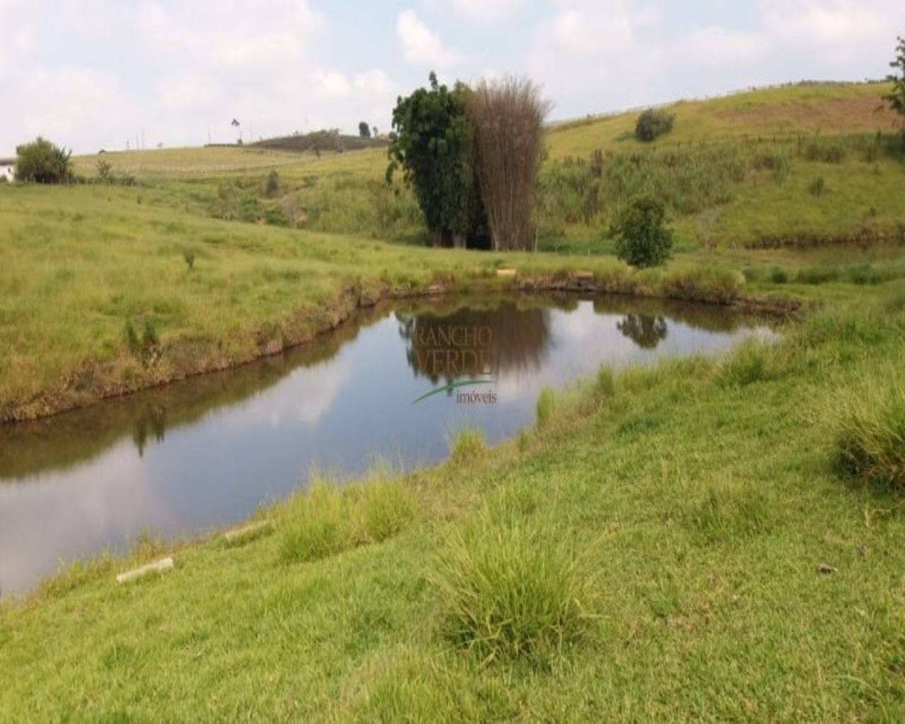 Small farm of 60 acres in Santa Isabel, SP, Brazil