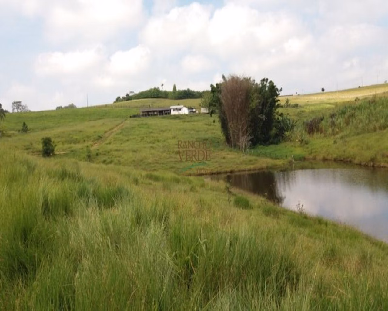 Small farm of 60 acres in Santa Isabel, SP, Brazil