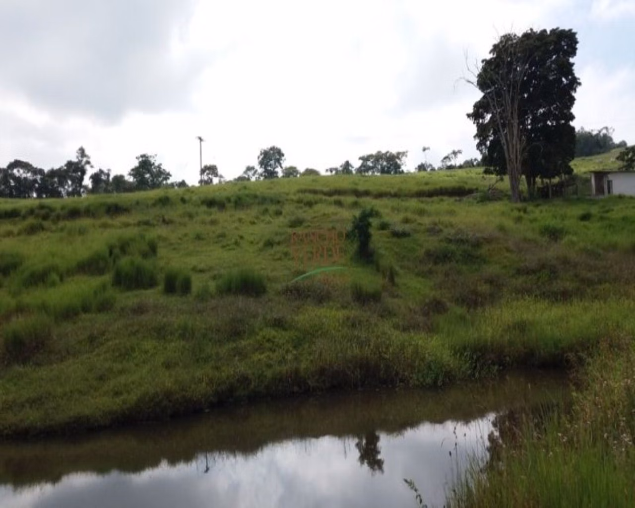 Small farm of 60 acres in Santa Isabel, SP, Brazil