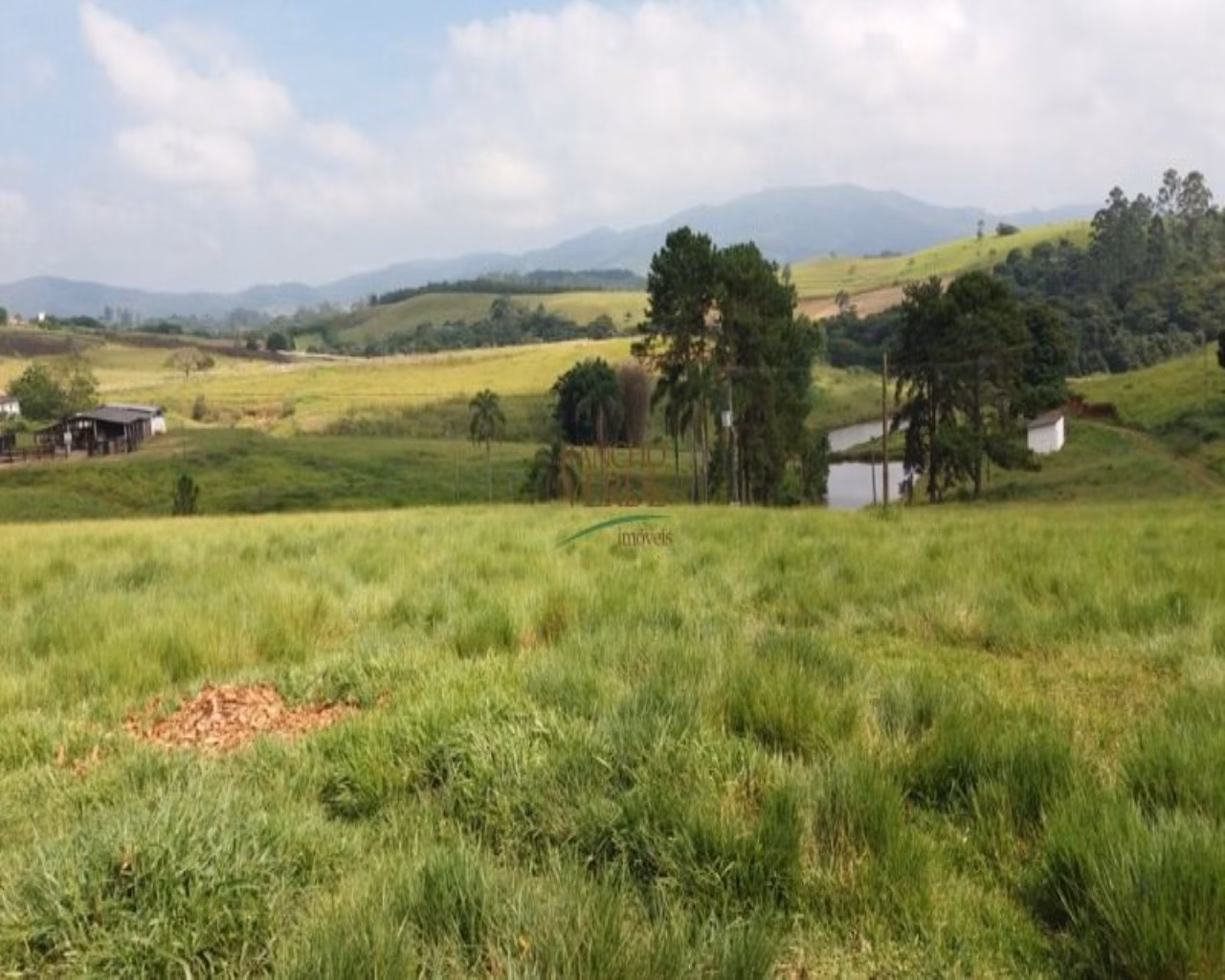 Small farm of 60 acres in Santa Isabel, SP, Brazil