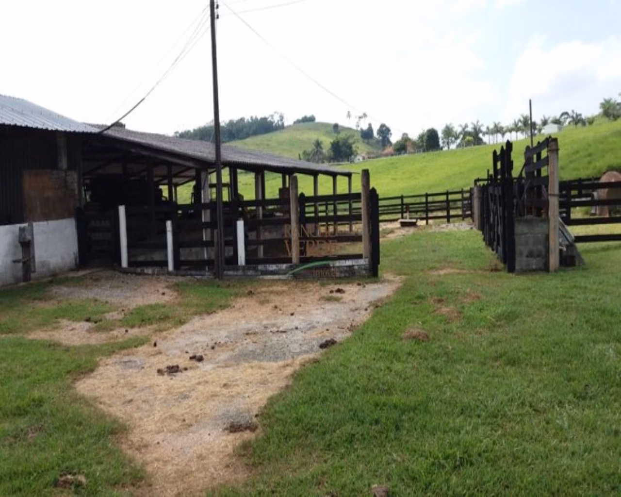Small farm of 60 acres in Santa Isabel, SP, Brazil