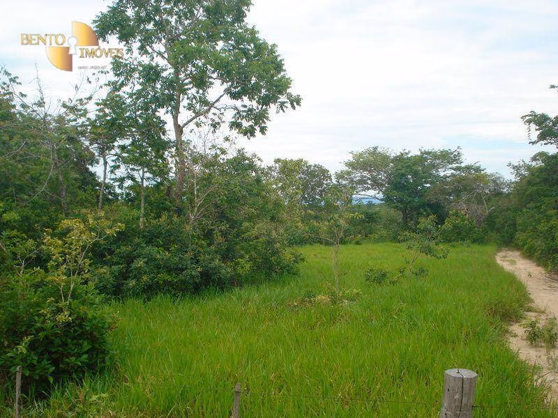 Fazenda de 487 ha em Nossa Senhora do Livramento, MT
