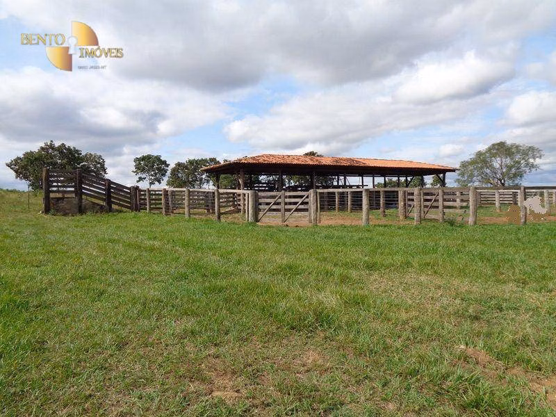 Fazenda de 487 ha em Nossa Senhora do Livramento, MT