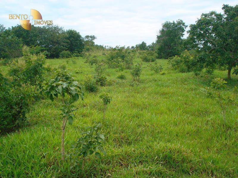 Fazenda de 487 ha em Nossa Senhora do Livramento, MT