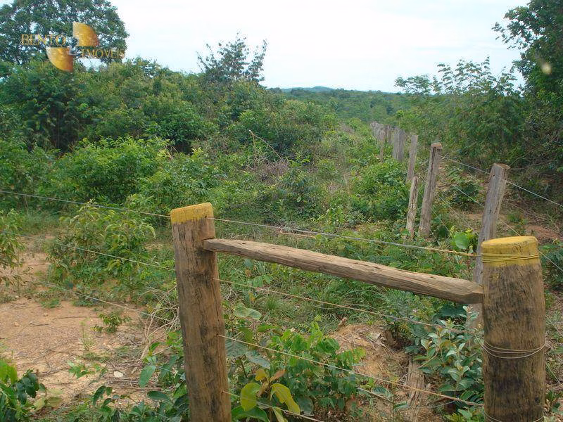 Fazenda de 487 ha em Nossa Senhora do Livramento, MT