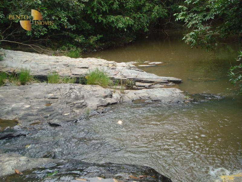 Fazenda de 487 ha em Nossa Senhora do Livramento, MT