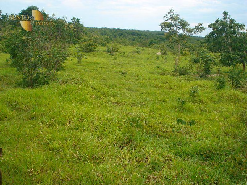 Fazenda de 487 ha em Nossa Senhora do Livramento, MT