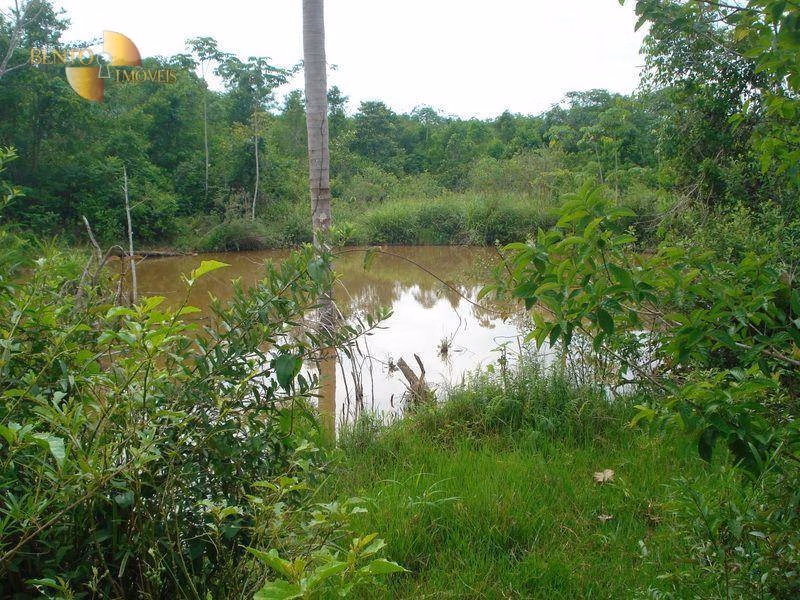 Fazenda de 487 ha em Nossa Senhora do Livramento, MT