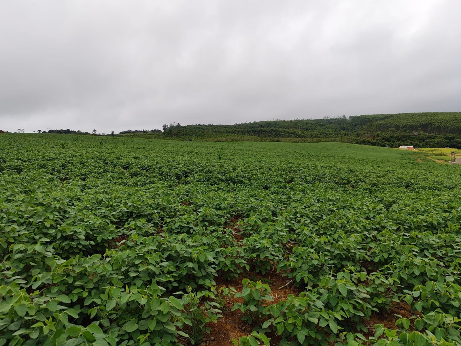 Country home of 24 acres in Pilar do Sul, SP, Brazil