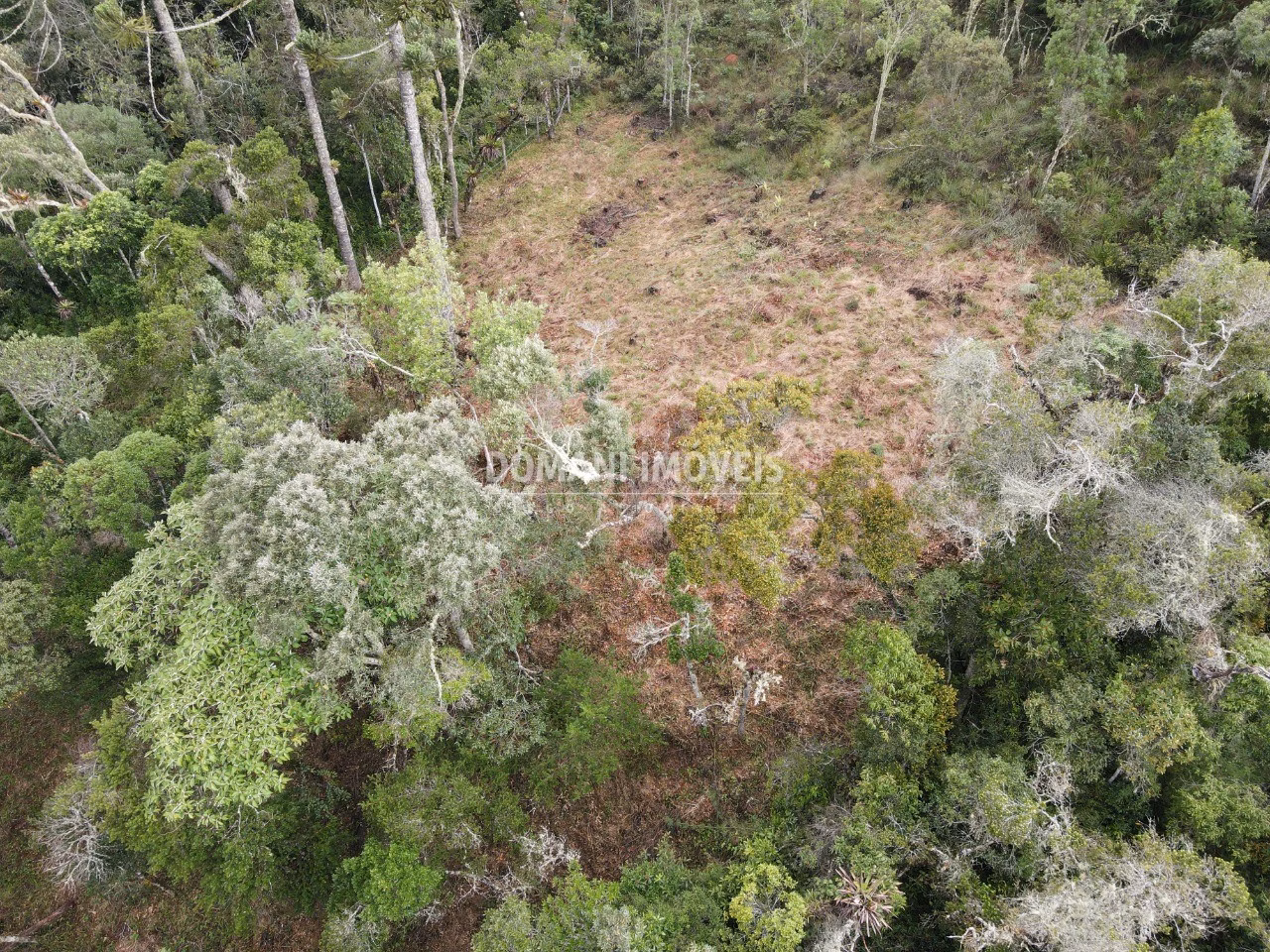 Plot of 1.060 m² in Campos do Jordão, SP, Brazil