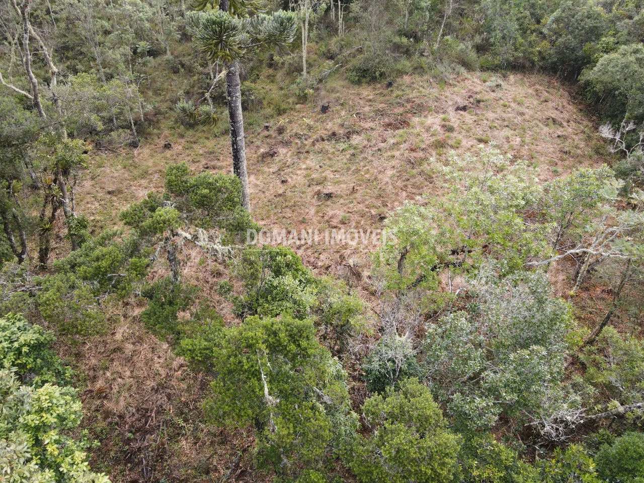 Terreno de 1.060 m² em Campos do Jordão, SP