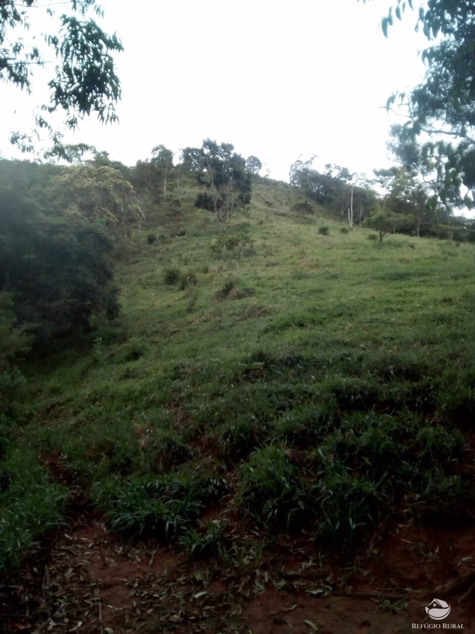 Sítio de 6 ha em Monteiro Lobato, SP