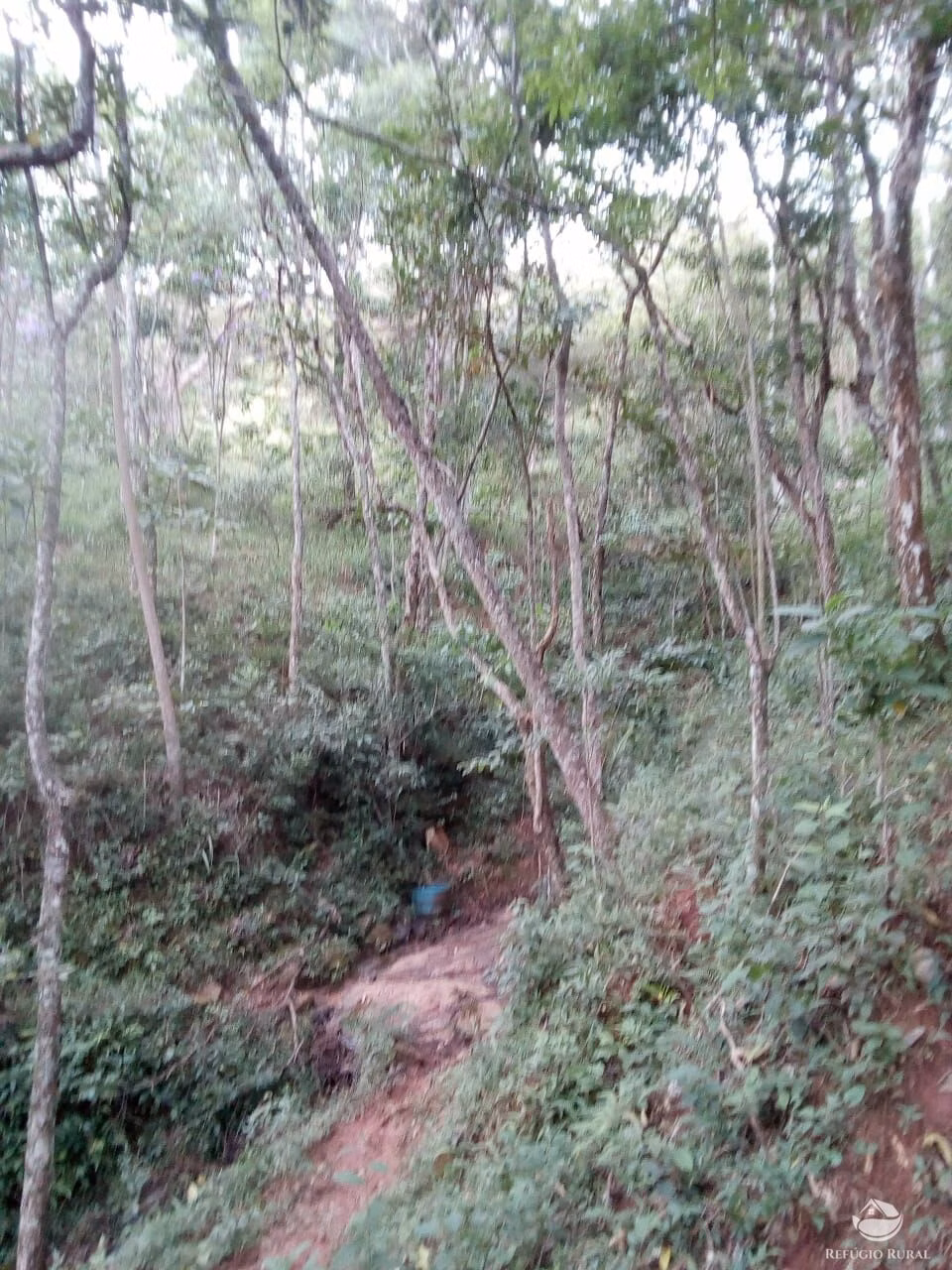 Sítio de 6 ha em Monteiro Lobato, SP