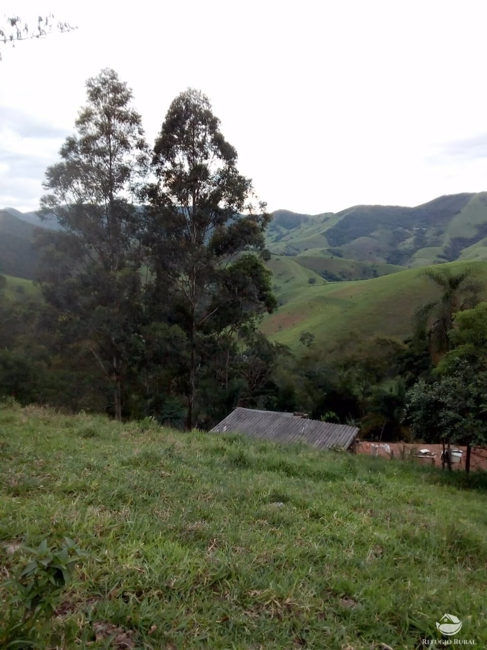 Sítio de 6 ha em Monteiro Lobato, SP