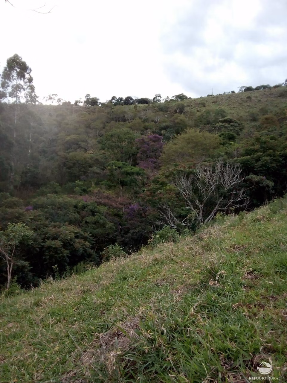 Sítio de 6 ha em Monteiro Lobato, SP
