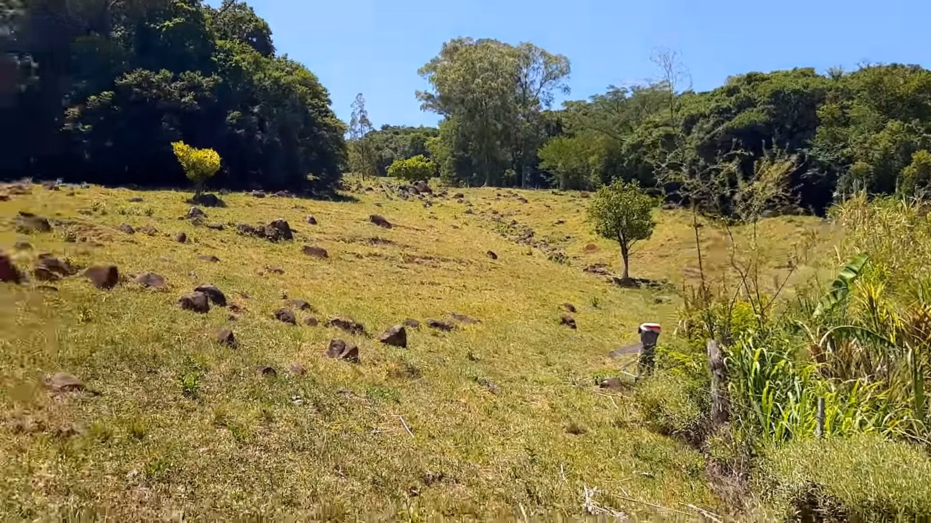Plot of 15 acres in Santo Antônio da Patrulha, RS, Brazil