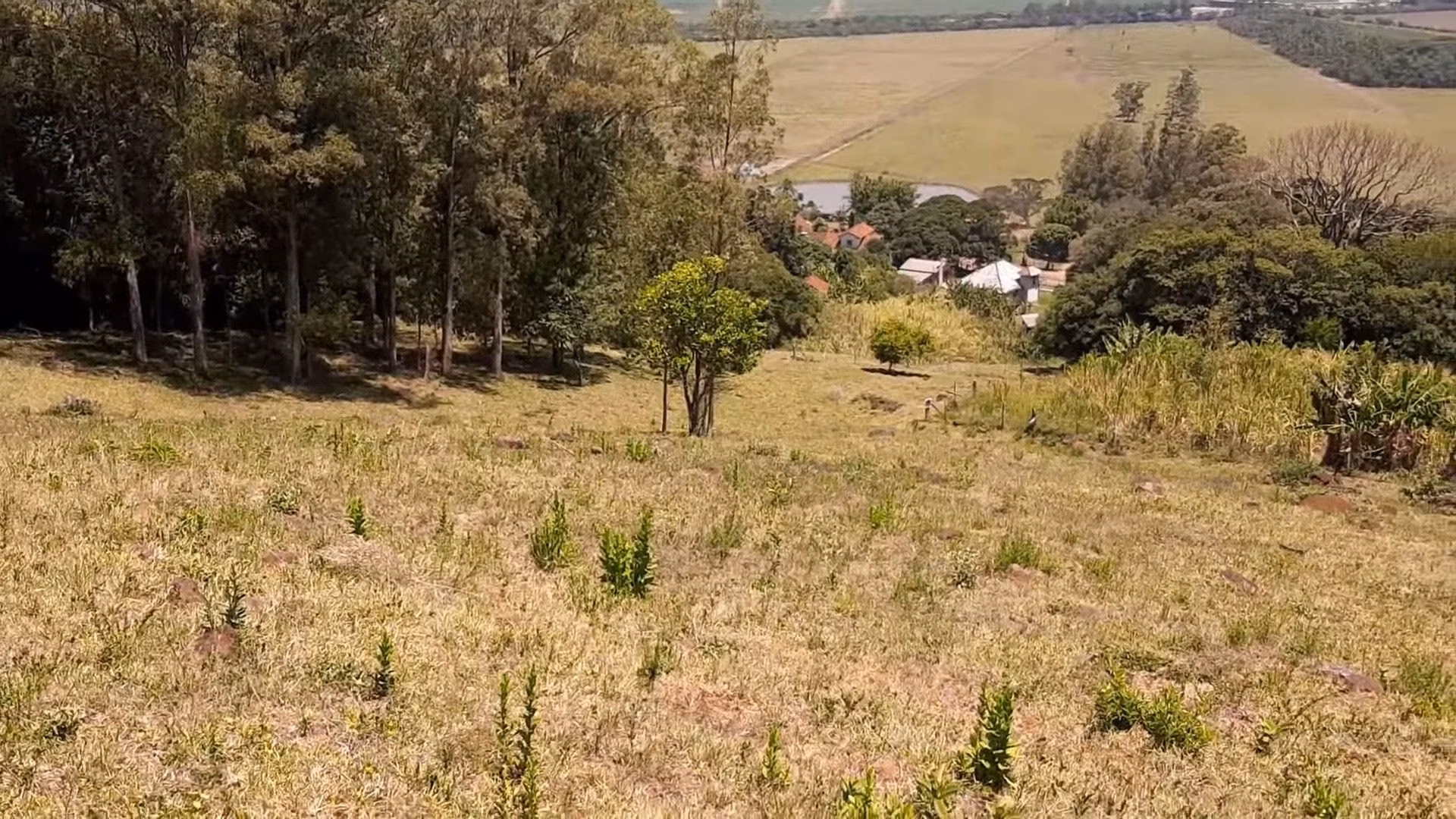 Plot of 15 acres in Santo Antônio da Patrulha, RS, Brazil