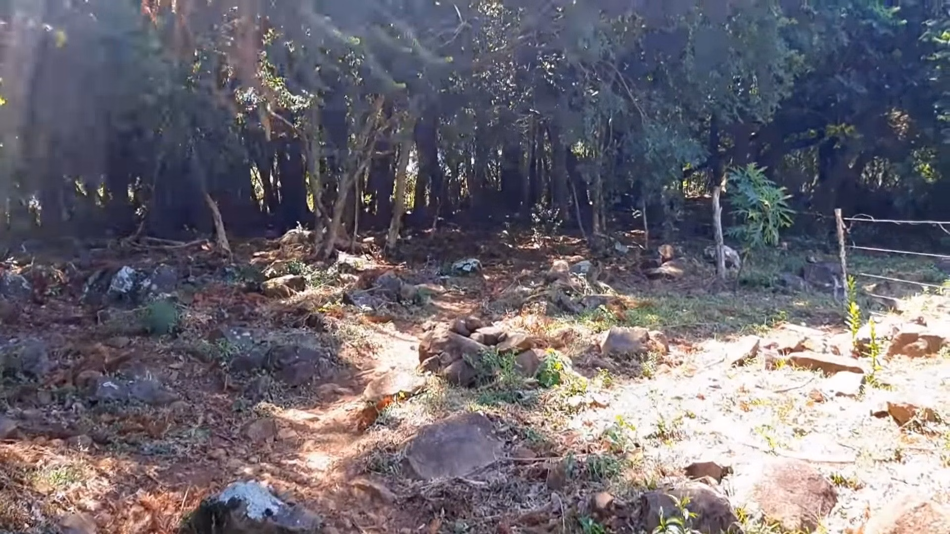 Plot of 15 acres in Santo Antônio da Patrulha, RS, Brazil