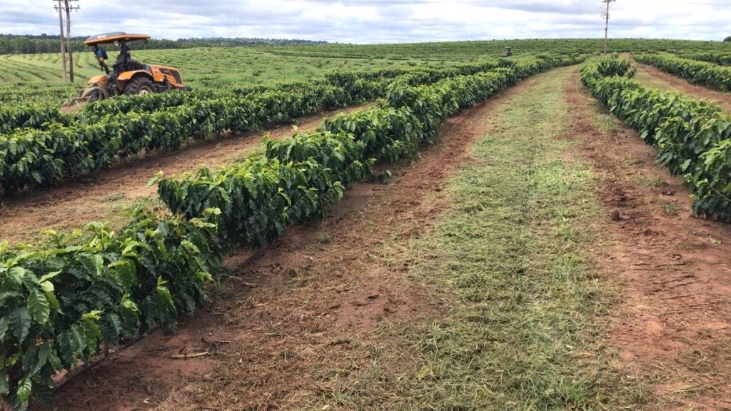 Fazenda de 2.350 ha em Garça, SP