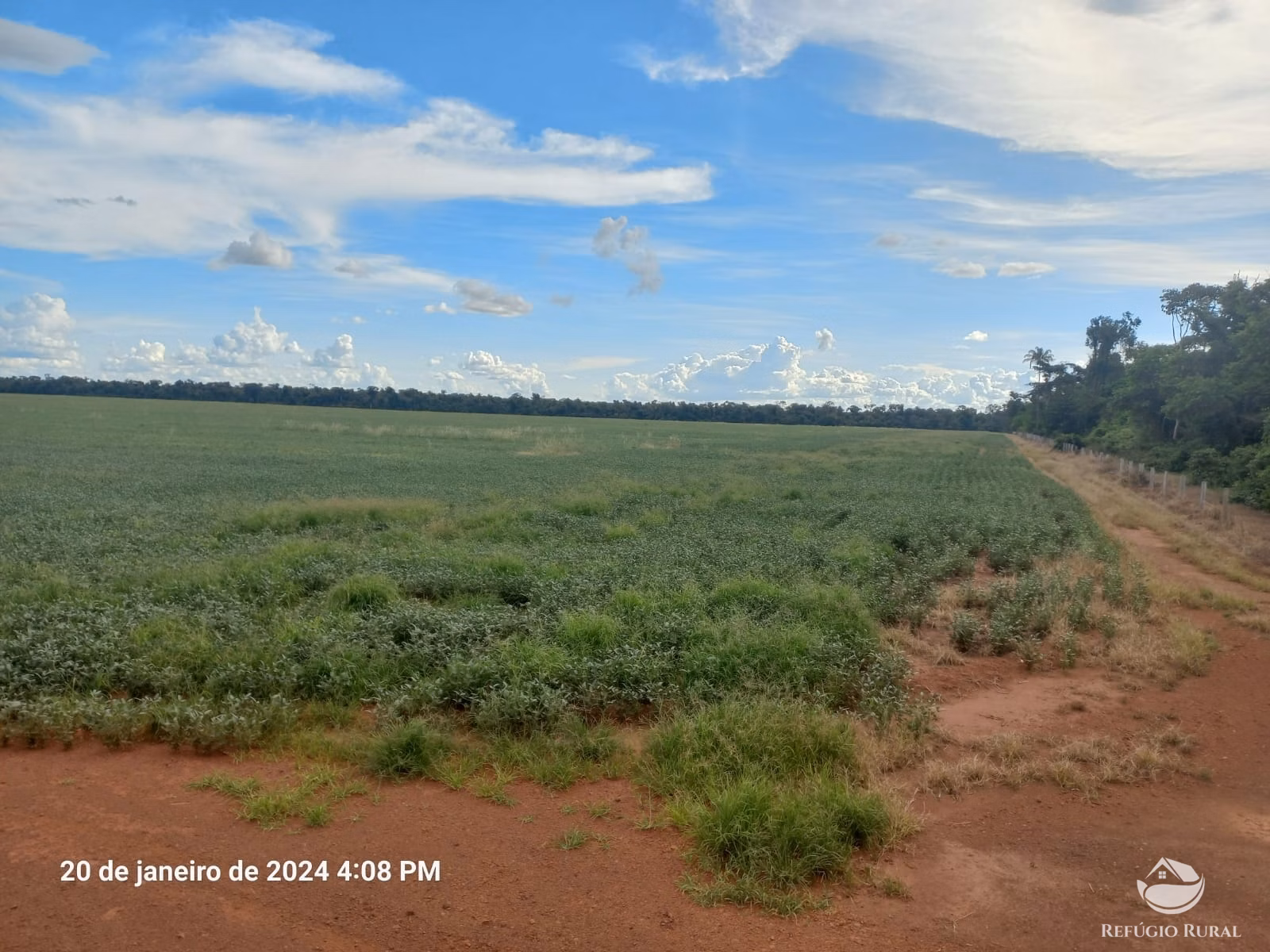 Fazenda de 1.260 ha em Juara, MT