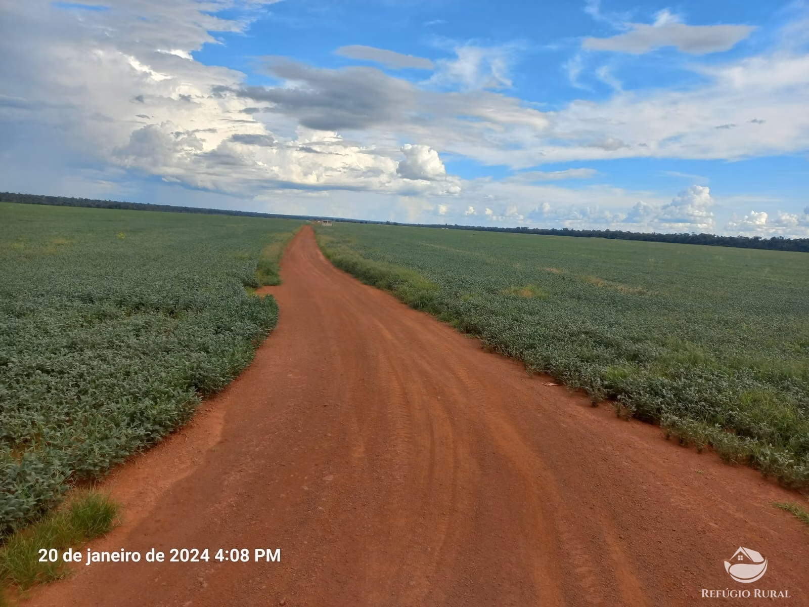 Fazenda de 1.260 ha em Juara, MT