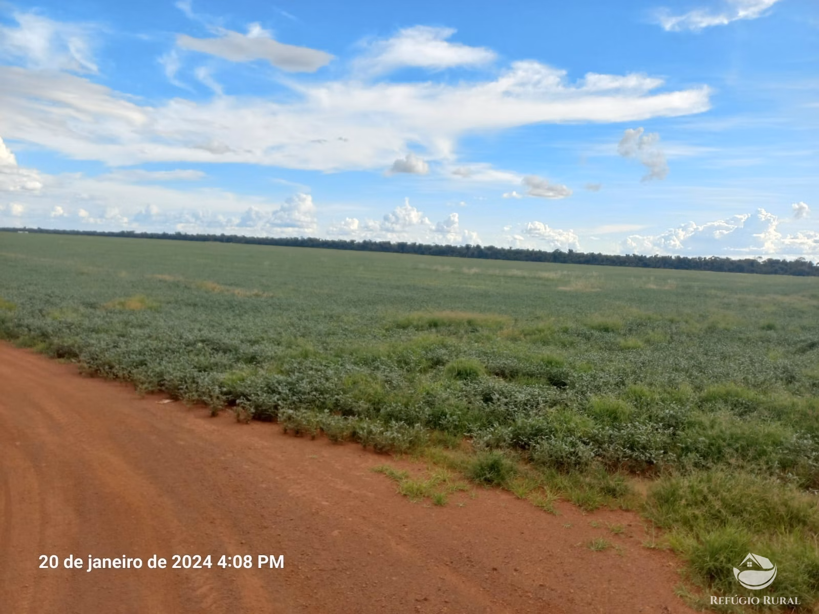 Fazenda de 1.260 ha em Juara, MT