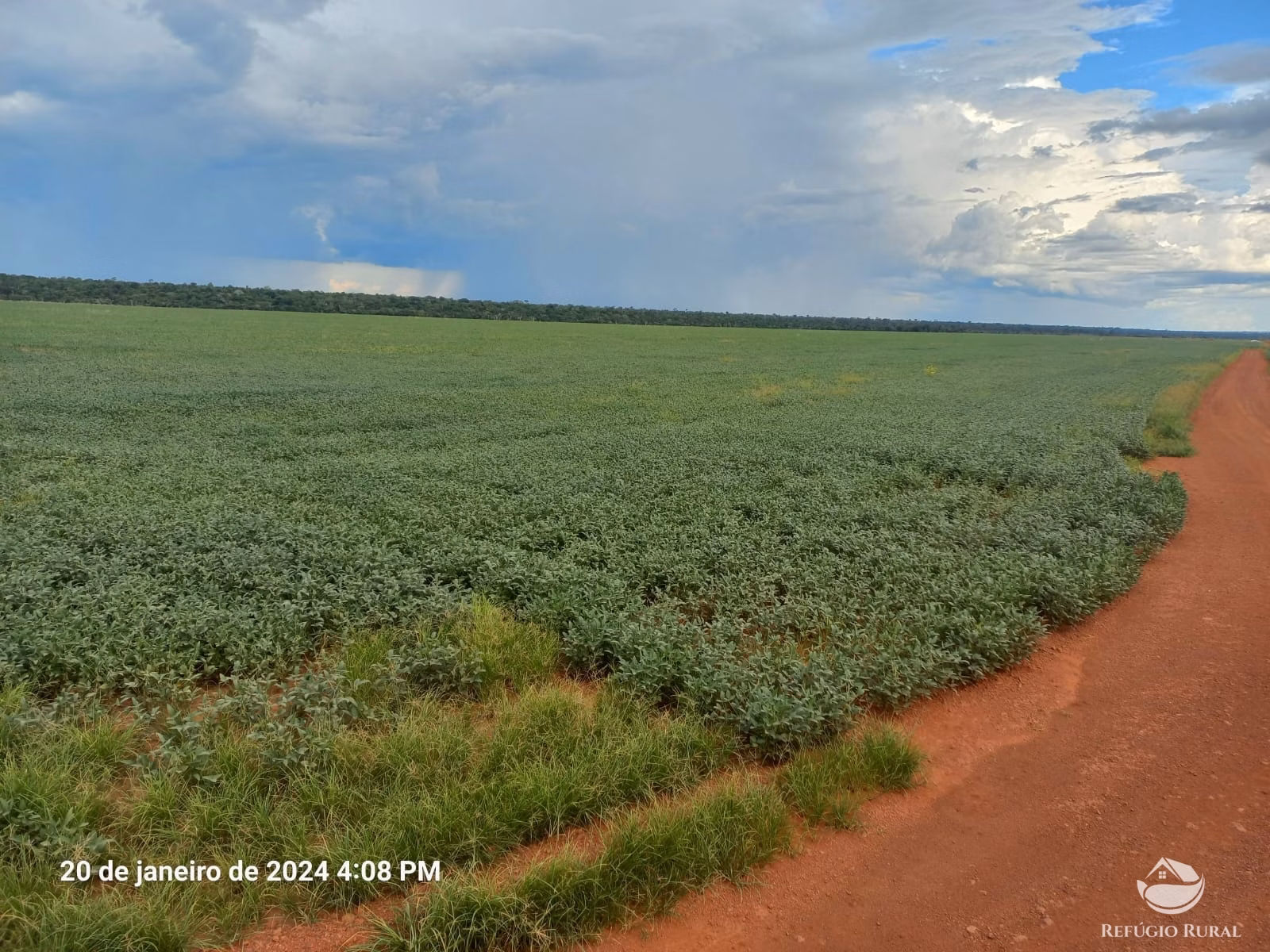 Fazenda de 1.260 ha em Juara, MT