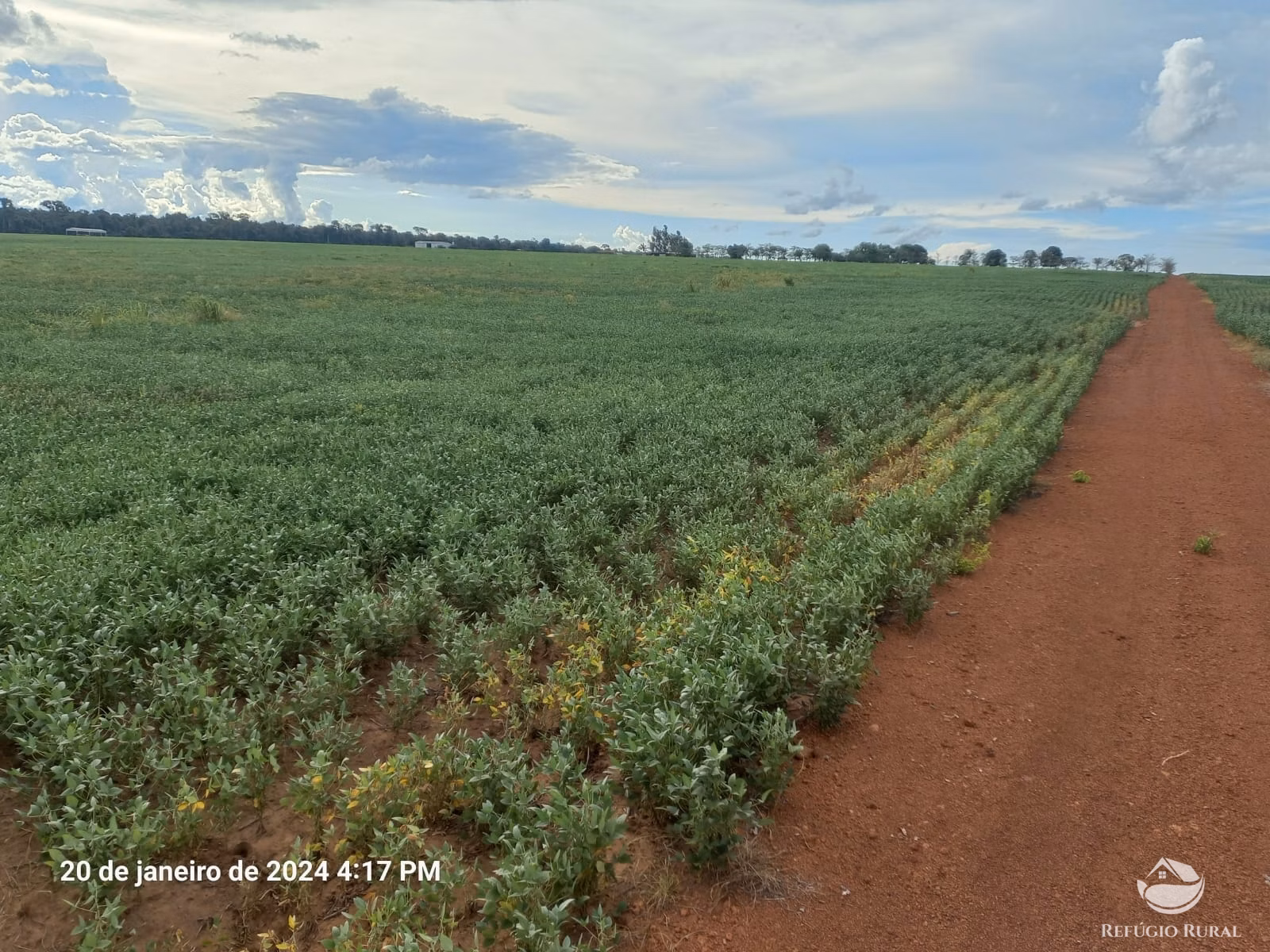 Fazenda de 1.260 ha em Juara, MT